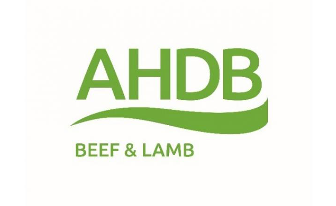 AHDB calls farmers to shout about the sire