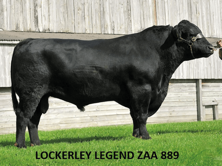 Lockerley LEGEND F612